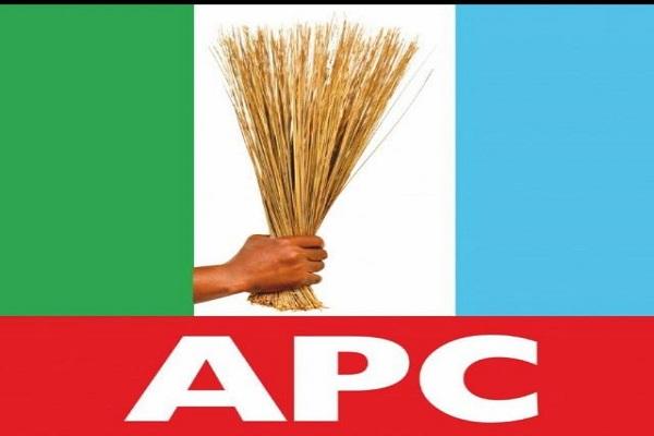 APC Congress: Why there is no descending voice in Borno