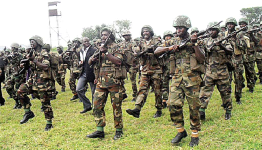 Nigeria: Troops over ran terrorists location, neutralised fleeing fighters in Borno