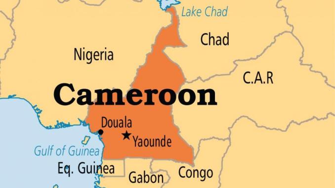 Thousands of Cameroonians fled to Chad over deadly clashes between herders and fishing communities