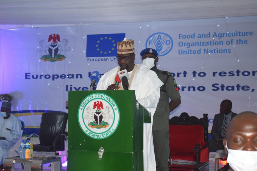 UN Provides Livelihood Support to 140,000 households in Borno
