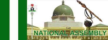 NATIONAL ASSEMBLY: OF BORNO’S VOICELESS MEMBERS