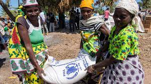 WFP To Ration Food to 500,000 persons in Northeast Over Dearth of Fund