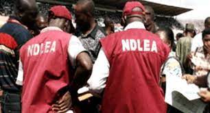 Make 2022 tougher for drug barons, cartels, Marwa tasks NDLEA officers