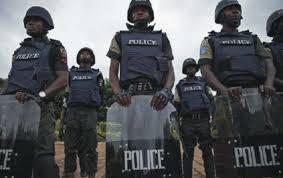 Police Command established ‘Crack Squad’ in Yobe