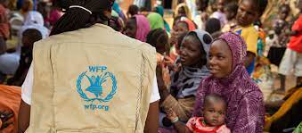 Food Security: WFP to target 40,000 IDPs, Vulnerables next year in Yobe