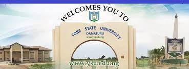 Professor Daura appeals for adequate water provision to Yobe University