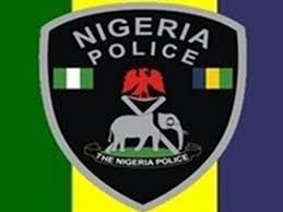 Police arrests 35 year old man for stealing in Yobe