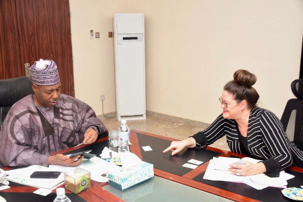 French Ambassador meets Zulum, to partner on Agriculture, Education 