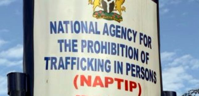 NAPTIP, others secure freedom of 15 Nigerian girls trafficked to Mali