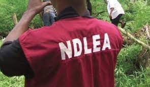 Court grants NDLEA’s request to detain Abba Kyari, 6 others for 2 weeks