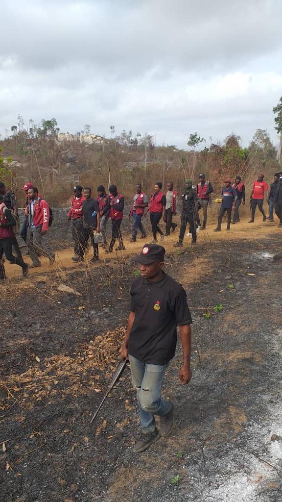 NDLEA destroys 255 hectares of cannabis farms, arrests 13 in Ondo