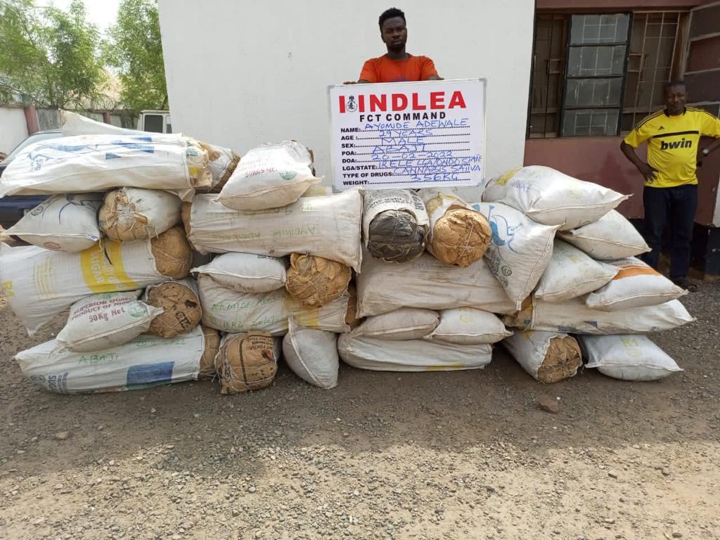 NDLEA intercepts Drugs, Cash from Pakistan, Austria, Italy at Lagos airport