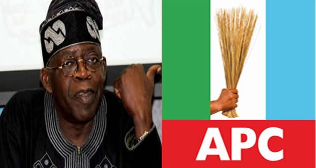 2023 Presidency: Group in Yobe mobilises support for Tinubu