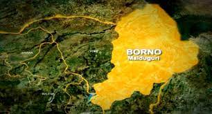 THE BATTLE TODAY, THE WAR TOMORROW AND THE SOUL OF SOUTHERN BORNO.