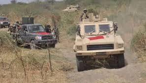 MNJTF: 20 terrorists kill in Amchide