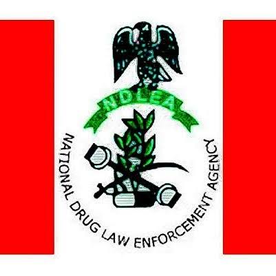 NDLEA seizes large quantities of drugs in Lagos, others