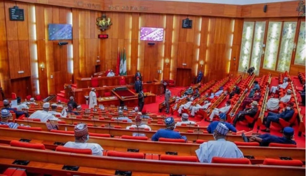 Senate passes bill to establish Federal University of Technology Auchi