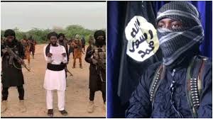 Boko Haram: Abubakar Sarki, others neutralized in battle with troops in Sambisa Forest