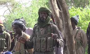 ISWAP: Two Commanders,  Bako Gorgore, Abu Ibrahim killed in Borno