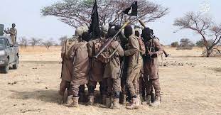 ISWAP Kills 1 CJTF, injured 4 others in Borno