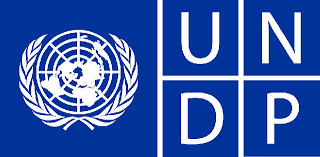 UNDP and Yiaga Africa Award 13 Young Nigerians N1m grants to Mobilize Young Voters for 2023 Elections