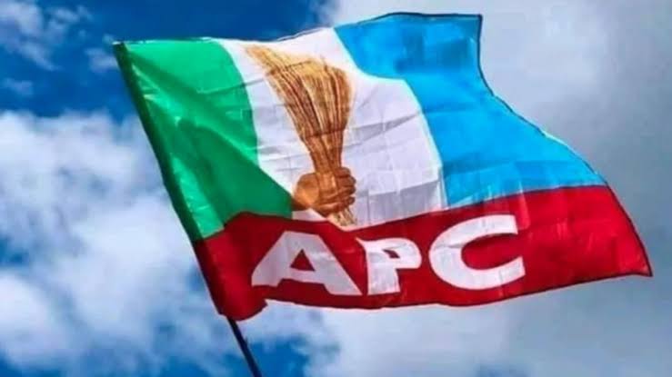 APC Primaries: 150 aspirants jostle for Bauchi Assembly