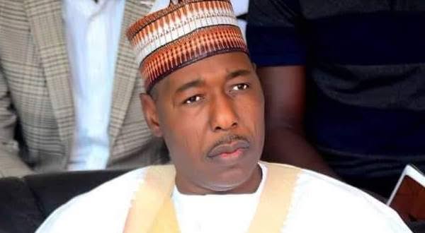 Why I reject offers to be Vice President -Zulum