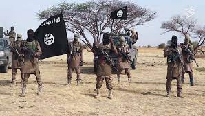 10 terrorists killed in Borno