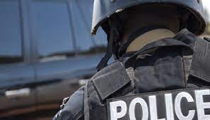 Police arrested Kidnappers ring leader, Others in Damaturu