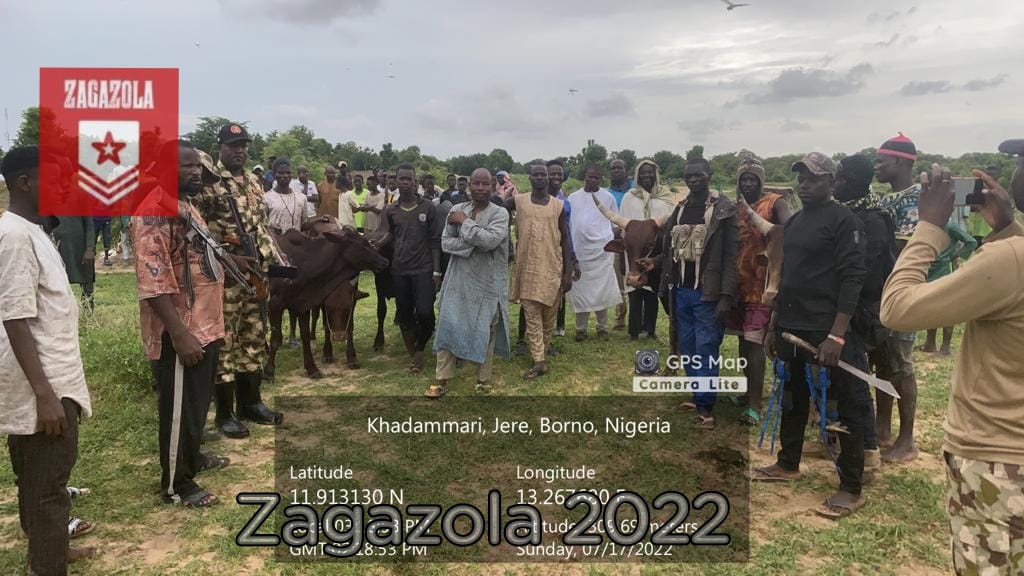 Army rescued 7 kidnapped hardsmen, 200 cows from  Boko Haram in northeast Nigeria