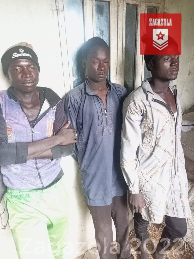 5 Boko Haram including a Commander, Malam Isa, surrender to Nigerian Army 