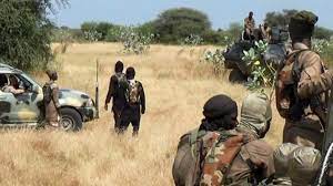 Hungry Boko Haram Kills 3 Farmers Injured 1 Borno
