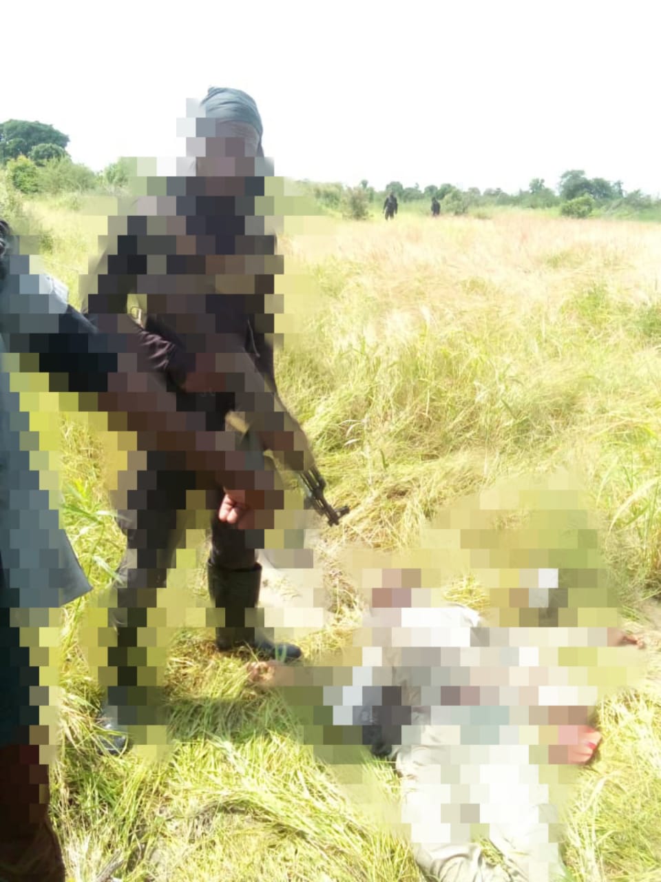 Nigerian troops ambush Boko Haram, Kills 7 in Borno