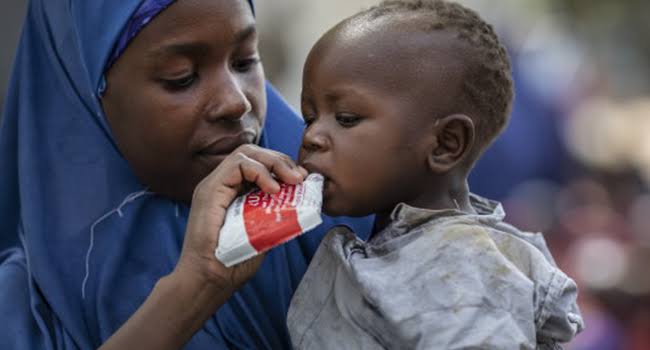 UN releases $10m-aid for acute malnutrition in North East