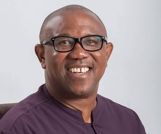 2023: Confusion Hits Labour Party As Peter Obi Set To Be Disqualified To Run