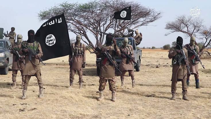 Boko Haram kills three people in Borno community