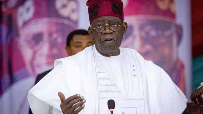 Northern Group throws support for Tinubu’s economic blueprint