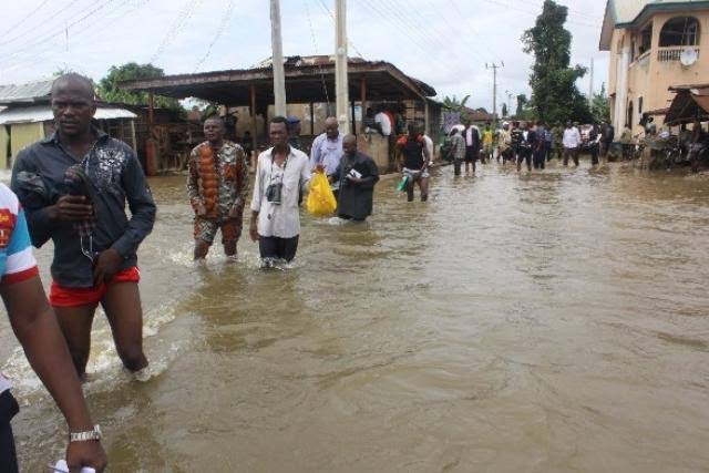 We’re raising funds to assist Niger-Delta flood victims – Ijaw Diaspora Council